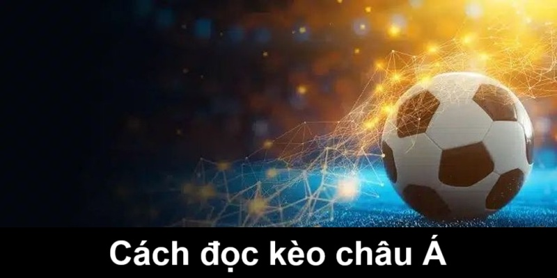 Các bước cụ thể để bắt kèo châu Á tại Zowin thành công