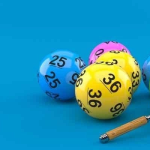 Các Lời Khuyên Khi Áp Dụng Cách Nuôi Lô Khung 3 Ngày, Zowin